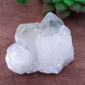 Elegant White Crystal Decor